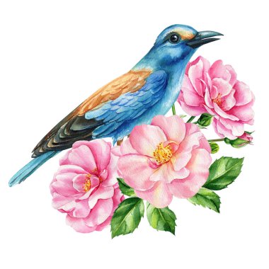İzole edilmiş beyaz arka planda güzel bir kuş ve çiçek çizimi, suluboya bir illüstrasyon. Yüksek kaliteli illüstrasyon