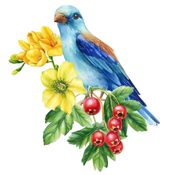 Beautiful bird sitting on a branch with flowers on an isolated white background, watercolor botanical illustration. High quality illustration