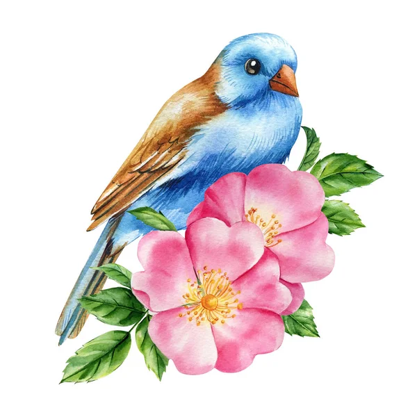 Pássaro Bonito Flores Fundo Branco Isoladodesenhado Mão Aquarela Ilustração Moda — Fotografia de Stock