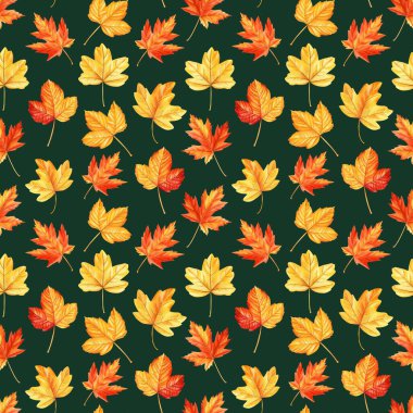 Sonbahar yaprağı desenli suluboya. Renkli akçaağaç kuru yapraklı arka plan. Sonbahar Kusursuz desen. Yüksek kaliteli illüstrasyon