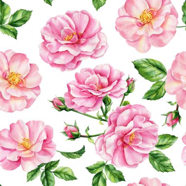 Pembe güller ve yapraklarla kusursuz bir desen. Duvar kağıtları, kartpostallar, düğün kartları için suluboya Flora. Yaz arkaplanı. Yüksek kaliteli illüstrasyon