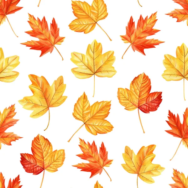 Autumn Seamless pattern watercolor. Colorful maple leaves background. Background for textile, design, wallpaper. High quality illustration