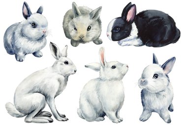 Bir grup tavşan, izole edilmiş beyaz arka planda şirin hayvanlar, suluboya çizimler. Yüksek kaliteli illüstrasyon