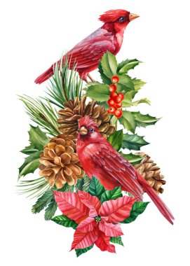 Kızıl Kardinal, iki kuş ve doğal element, yapraklar, dallar, kozalaklar ve çiçek. Suluboya resim, kartpostal. Yüksek kaliteli illüstrasyon