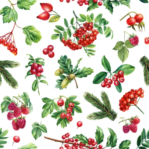 水彩花无缝图案 覆盆子 树莓和树叶植物手绘水彩画 高质量的例证 — 图库照片