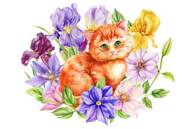 Tatlı hayvan, bahar çiçekleri süsen çiçekleri ve izole edilmiş beyaz arka plan suluboya resimlerinde klematis. Yüksek kaliteli illüstrasyon