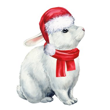 İzole edilmiş beyaz arka planda kırmızı Noel Baba şapkalı şirin tavşan, tatil suluboya çizimi. Hayvan eğlencesi. Yüksek kaliteli illüstrasyon