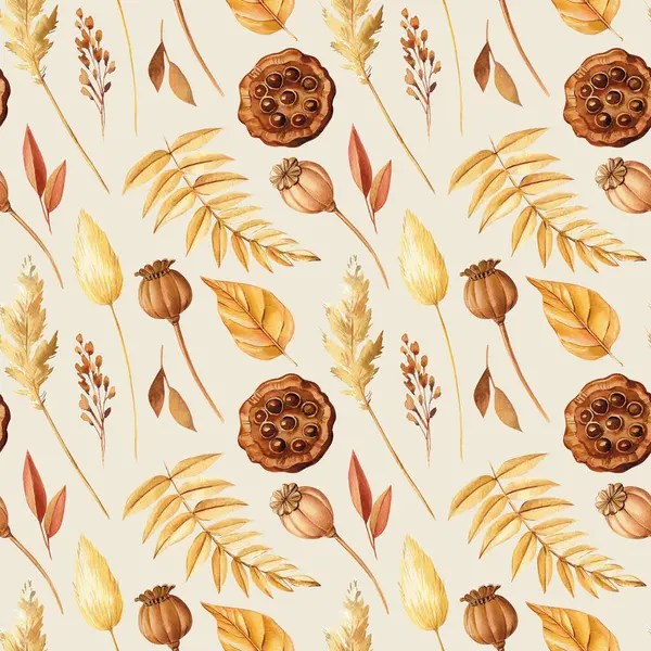 秋天无缝的背景与干叶 罂粟和荷花种子水彩斑斓 装潢设计 高质量的例证 — 图库照片
