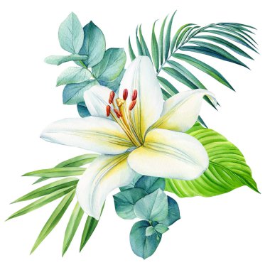 Çiçek buketi, okaliptüs dalları, zarif yeşillik yaprakları, suluboya botanik çizimler. Çiçek tasarımı. Yüksek kaliteli illüstrasyon