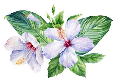 Tropik bitki örtüsü, amber çiçeği ve palmiye yaprağı, güzel suluboya bitkiler, yapraklar ve çiçekler. Yüksek kaliteli illüstrasyon