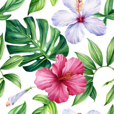 Beyaz arka planda tropik amber çiçekleri ve palmiye yaprakları, suluboya botanik bitki örtüsü. Kusursuz desenler. Yüksek kaliteli illüstrasyon