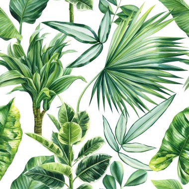 Palmiye yaprakları olan tropik, dikişsiz desenler, beyaz arka planda tropik bitkiler, suluboya botanik çizimler. Yüksek kaliteli illüstrasyon