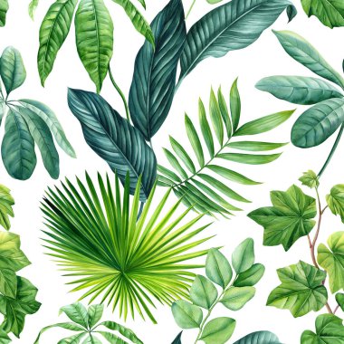 Palmiye yaprakları olan tropik, dikişsiz desenler, beyaz arka planda tropik bitkiler, suluboya botanik çizimler. Yüksek kaliteli illüstrasyon