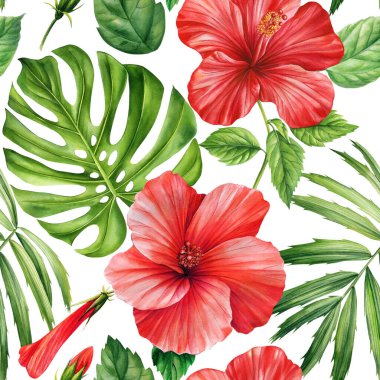 Beyaz arka planda tropik amber çiçekleri ve palmiye yaprakları, suluboya botanik bitki örtüsü. Kusursuz desenler. Yüksek kaliteli illüstrasyon