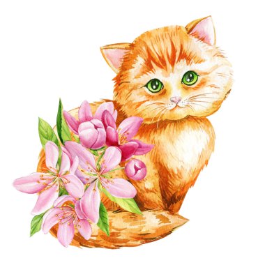 Hayvan, pembe elma çiçeklerindeki kedi. Suluboya izole bir illüstrasyon. Yüksek kaliteli illüstrasyon