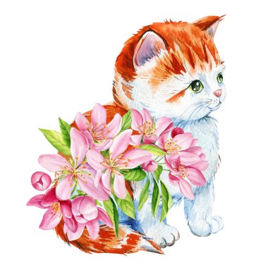 Hayvan, pembe elma çiçeklerindeki kedi. Suluboya izole bir illüstrasyon. Yüksek kaliteli illüstrasyon
