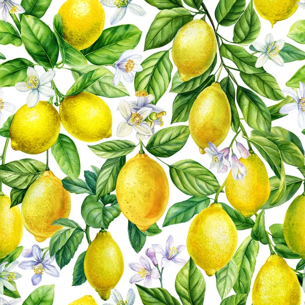 Lemon seamless pattern. Citrus fruits, twig, leaves for design paper, fabric, decor. Botanical watercolor painting. High quality illustration