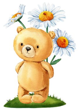 Ayıcık ve çiçek suluboya izole beyaz arka plan, sanat afişi, sevimli ayı eli çizimi. Yüksek kaliteli illüstrasyon