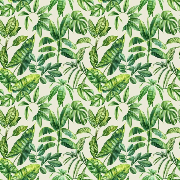 Exotic floral pattern. tropical green plant in summer print. Watercolor tropical palm leaves, jungle seamless pattern. High quality illustration