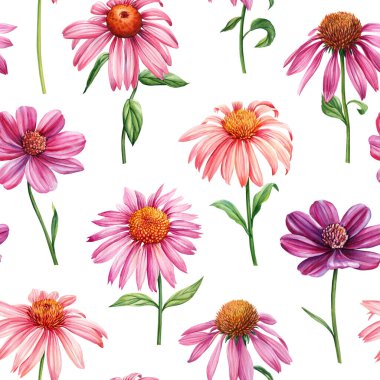 Bahar çiçekleri suluboya ile kusursuz desen. Çiçek tasarımı, zarif botanik geçmişi. Bahçe çiçekleri Yüksek kaliteli illüstrasyon