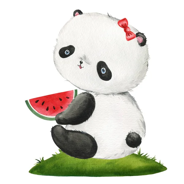 Cute panda with watermelon on isolated background. Watercolor Illustration. Teddy panda bear for print, card, clipart. High quality illustration