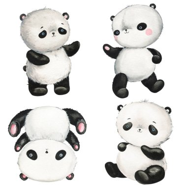 Panda suluboya çizimleri, izole bir arka planda şirin bir panda. Suluboya bebek Hayvan. Yüksek kaliteli illüstrasyon
