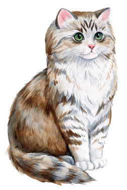 Suluboya çizilmiş kedi eli. Mutlu hayvan, beyaz arka planda izole edilmiş sevimli hayvan çizimi. Suluboya kedi portresi. Yüksek kaliteli illüstrasyon