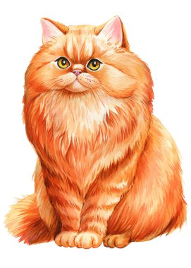 Kızıl Kedi beyaz arka planı izole etti. Hayvan suluboya çizimi. Sevimli bir evcil hayvan eli çizilmiş, suluboya resim yapan İran kedisi. Yüksek kaliteli illüstrasyon