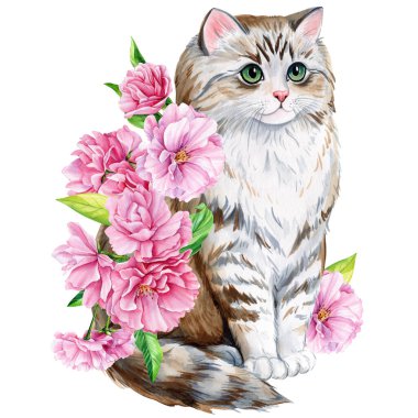 Pembe elma çiçekli şirin kedi, sakura. Suluboya resim çizimi, tasarım için bahar hayvanı, poster, kartlar. Yüksek kaliteli illüstrasyon