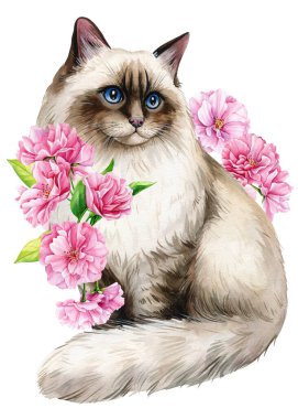 Pembe elma çiçekli şirin kedi, sakura. Suluboya resim çizimi, tasarım için bahar hayvanı, poster, kartlar. Yüksek kaliteli illüstrasyon