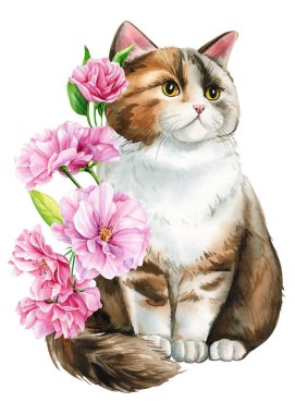 Pembe elma çiçekli şirin kedi, sakura. Suluboya resim çizimi, tasarım için bahar hayvanı, poster, kartlar. Yüksek kaliteli illüstrasyon