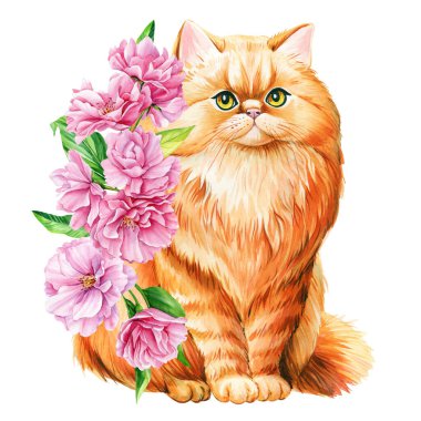 Pembe elma çiçekli şirin kırmızı kedi, sakura. Suluboya resim çizimi, tasarım için bahar hayvanı, poster, kartlar. Yüksek kaliteli illüstrasyon