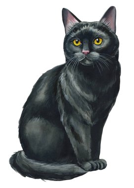 Siyah kediler izole edilmiş beyaz bir arkaplanda el çizimi yaparlar. Hayvan suluboya çizimi. Sevimli evcil hayvan eli çizilmiş, komik kedi. Yüksek kaliteli illüstrasyon