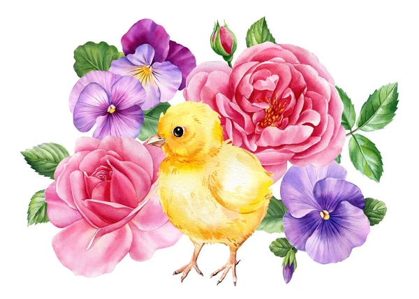 Chick and beautiful spring flowers, small yellow bird on isolated white background in watercolor hand-drawn illustration. High quality illustration
