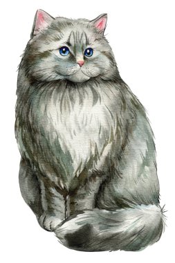 Set of funny cats watercolor, adorable home pets isolated on white background. Cats of different breeds. Cute kittens. Animal. High quality illustration