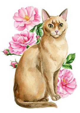 Beautiful cat and branches with spring flowers of roses, isolated white background. Watercolor Hand-drawn illustration. High quality illustration