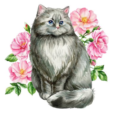 Beautiful cat and branches with spring flowers of roses, isolated white background. Watercolor Hand-drawn illustration. High quality illustration