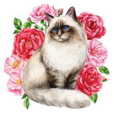 Beautiful cat and branches with spring flowers of roses, isolated white background. Watercolor Hand-drawn illustration. High quality illustration