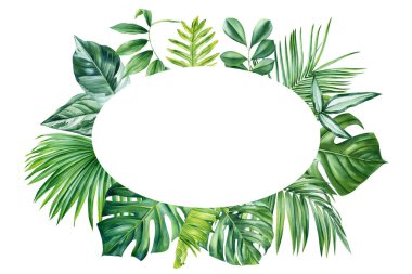 Yeşil çerçeve. Güzel, izole tropikal çiçekler ve yapraklar. Botanik yapraklı lüks bir tırmanış, pankart için organik bitki botaniği, poster şablonu. Yüksek kaliteli illüstrasyon