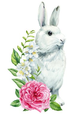 İzole edilmiş beyaz arka planda tavşan, tavşan ve Jasmin, gül çiçekleri, yapraklar. Paskalya tavşanı. Suluboya şirin bir hayvan. Yüksek kaliteli illüstrasyon