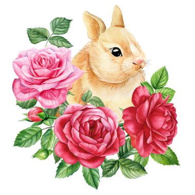 Tatlı Paskalya tavşanı ve çiçekler, suluboya çizimler. Tavşanlı Paskalya posteri, gül çiçekleri ve yaprakları. Yüksek kaliteli illüstrasyon