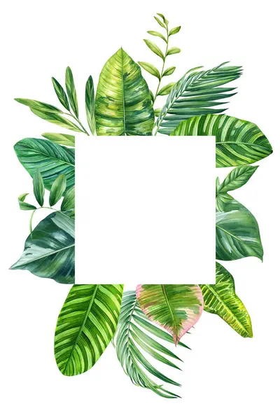 Green frame. Beautiful isolated Tropical flowers and leaves illustration. Luxury clipart with botanical leaves, Organic plant botanical for banner, poster template. High quality illustration