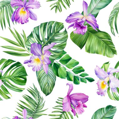 Çiçeklenen Orkide çiçeği kusursuz suluboya çiçek desenli tropik arka plan palmiye yaprağı canavarı. Hawaii usulü orman duvar kâğıdı. Yüksek kaliteli illüstrasyon