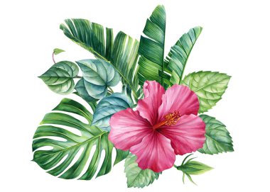 Tropik çiçekler ve yapraklar. Gerçekçi botanik illüstrasyon beyaz arka plan, suluboya pembe çiçek. orman tasarımı. Yüksek kaliteli illüstrasyon