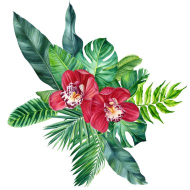 Güzel, izole tropikal çiçekler ve yapraklar. Botanik yapraklı lüks bir tırmanış, pankart için organik bitki botaniği, poster şablonu. Yüksek kaliteli illüstrasyon