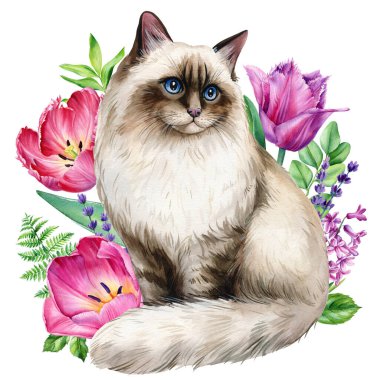 Bahar çiçeği sümbülü, karabatak, iris izole beyaz arka planı olan komik bir kedi. Hayvan resimleri suluboya resimler, tasarım kartları. Yüksek kaliteli illüstrasyon