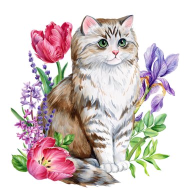 Bahar çiçeği sümbülü, karabatak, iris izole beyaz arka planı olan komik bir kedi. Hayvan resimleri suluboya resimler, tasarım kartları. Yüksek kaliteli illüstrasyon