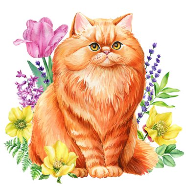 Bahar çiçeği sümbülü, karabatak, iris izole beyaz arka planı olan komik bir kedi. Hayvan resimleri suluboya resimler, tasarım kartları. Yüksek kaliteli illüstrasyon