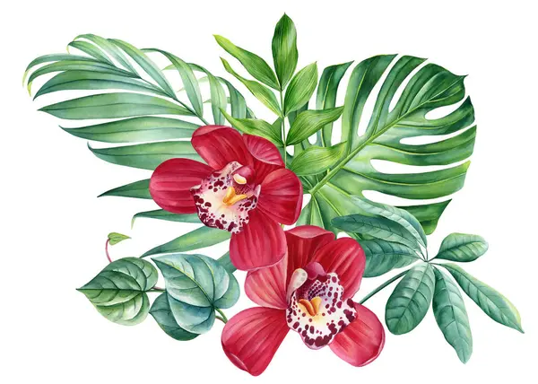 tropical plants, palm leaves and orchid flowers, jungle green leaves hand painted with watercolor, botanical painting. High quality illustration