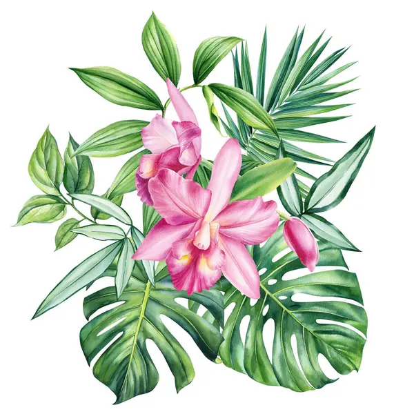 Suluboya ile çizilmiş egzotik orkide çiçekleri ve palmiye yaprakları. Tropikal yapraklı botanik çiçek desenli moda kompozisyonlar. Yüksek kaliteli illüstrasyon
